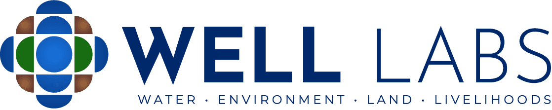 WELL-LABS Logo