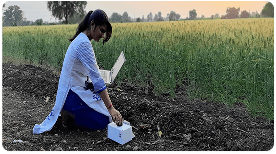Field work