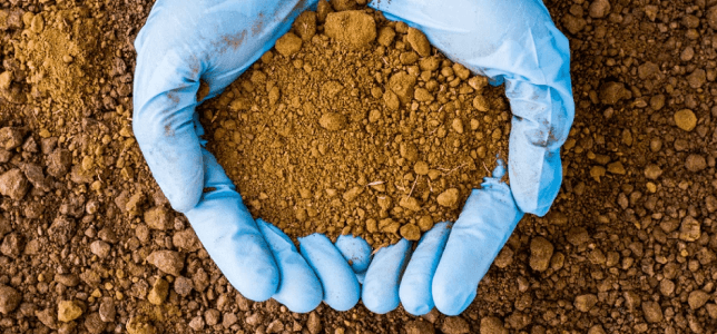 NeoSoil Testing